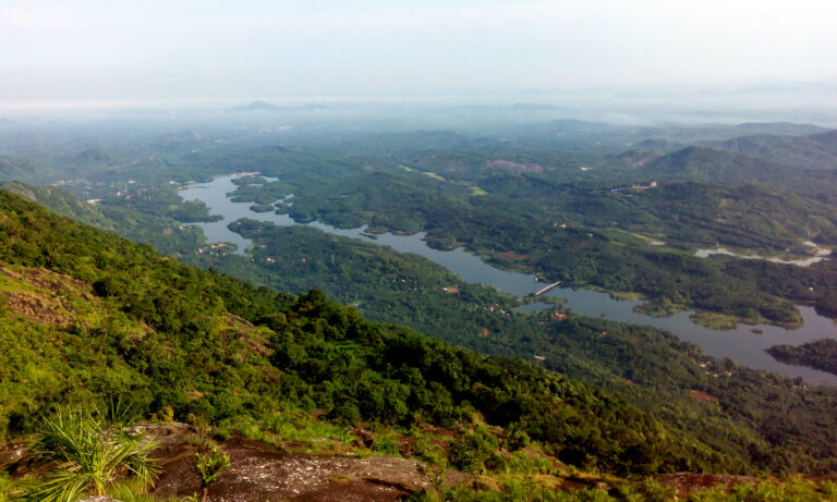 poonchira4