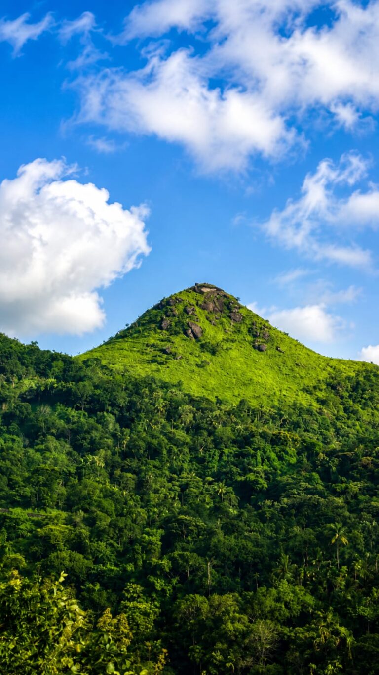 Ilaveezhapoonchira Hill View