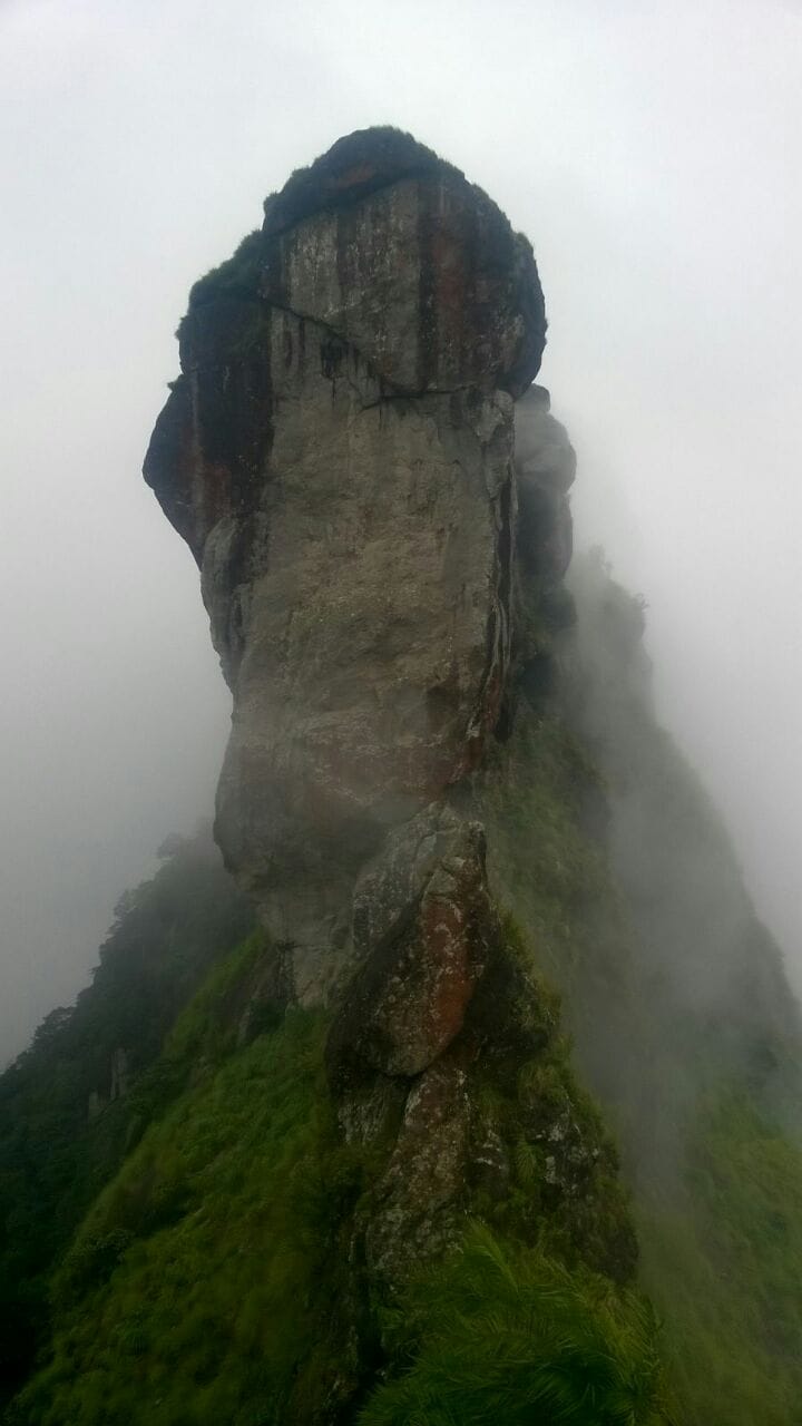 Illikkakallu